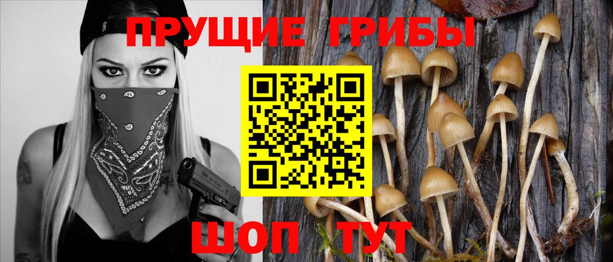 Мариинск  Псилоцибиновые грибы ЛСД  Вход с VPN 